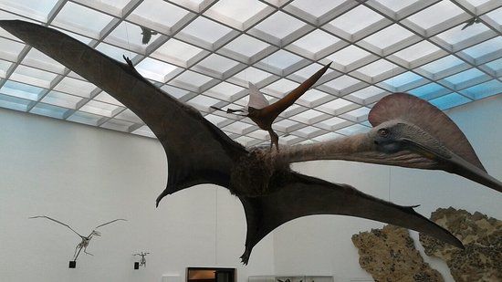 Staatliches Museum für Naturkunde Karlsruhe