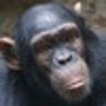 Gaststätte Fischerkeller