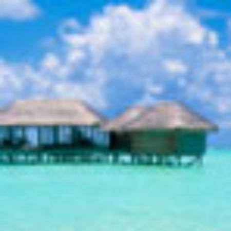 Engel Murg-Niederhof