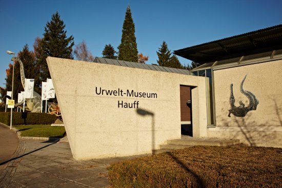 Urwelt-Museum Hauff