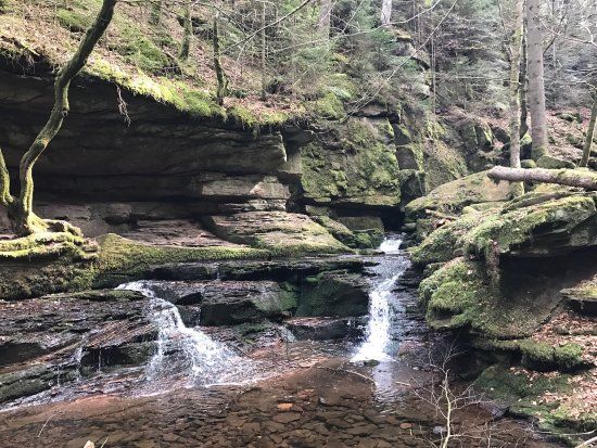 Christliche Gästehäuser Monbachtal