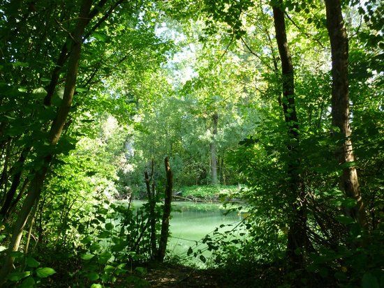 Réserve Naturelle de l'Ile du Rohrschollen