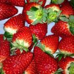 Hotel Landgasthaus Rössle