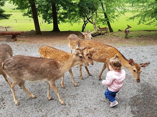 Wildparadies Tripsdrill