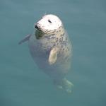 Kaisers Gute Backstube