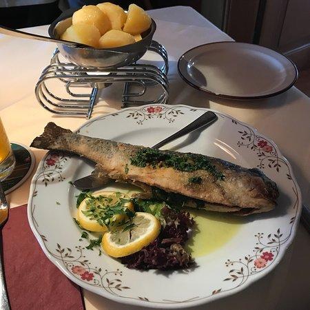 Höhengasthof Glashütte