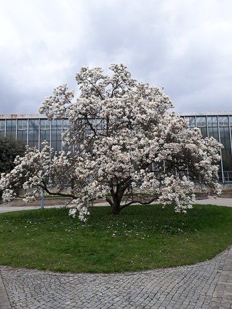 Botanischer Garten der Universität Tübingen