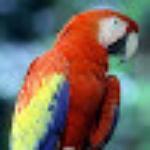 East Garden China Restaurant