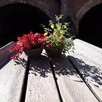 Metzgereigasthof Rebstock