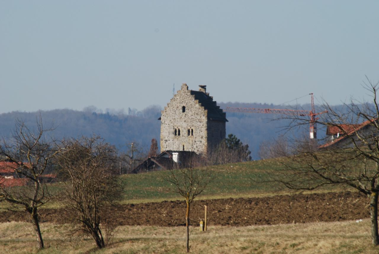 Burg Riedheim