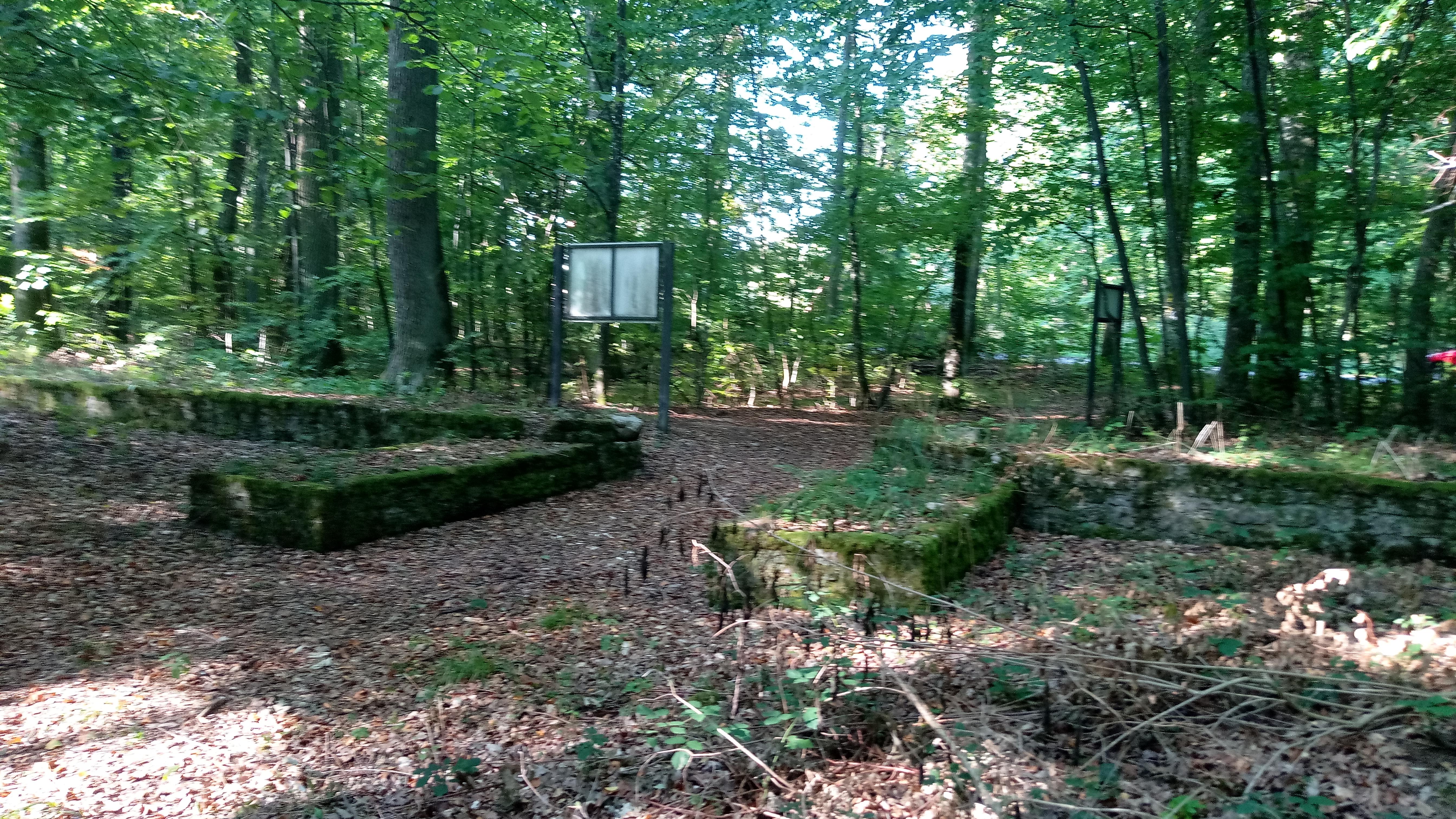 Kleinkastell Hönehaus