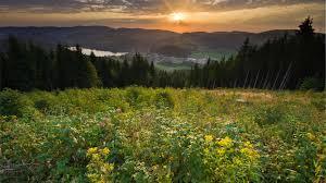 Hochschwarzwald Tourismus