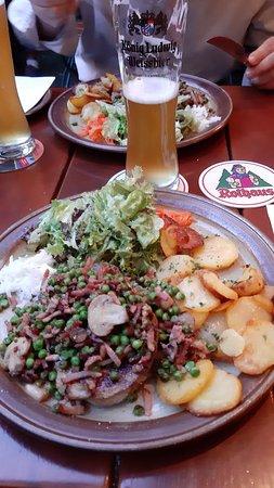 Gilbert's Goldener Adler