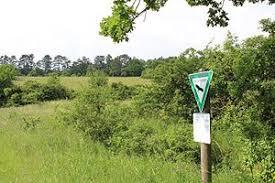 Brachenleite bei Tauberbischofsheim