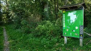 Weingartener Moor-Bruchwald Grötzingen