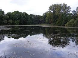 Denkendorfer Erlachsee