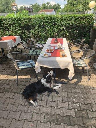 Zum Kleintierzüchter