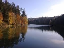 Hochwasserrückhaltebecken Herrenbach