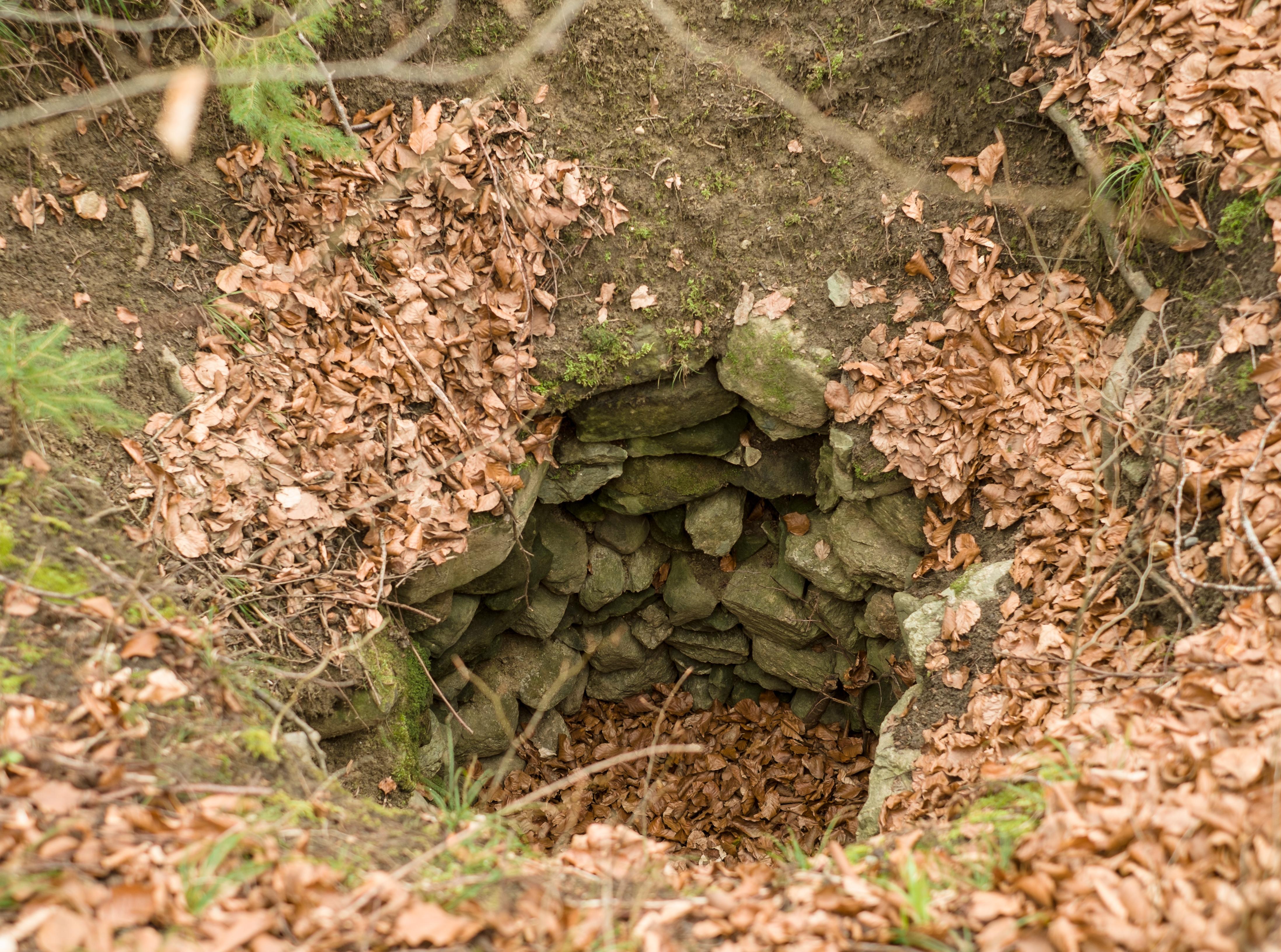 Schloßbühl Limpach