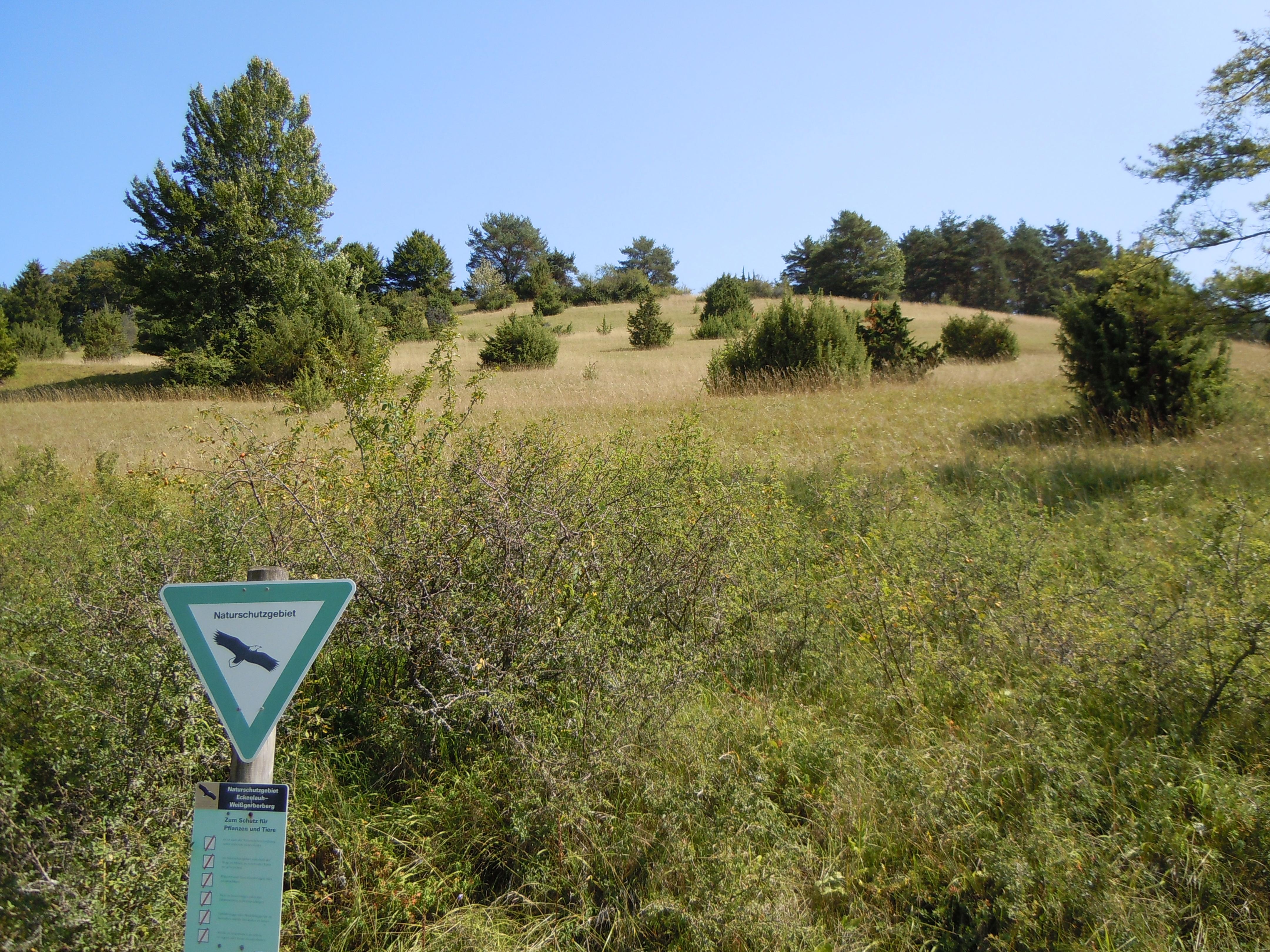 Eckenlauh-Weißgerberberg