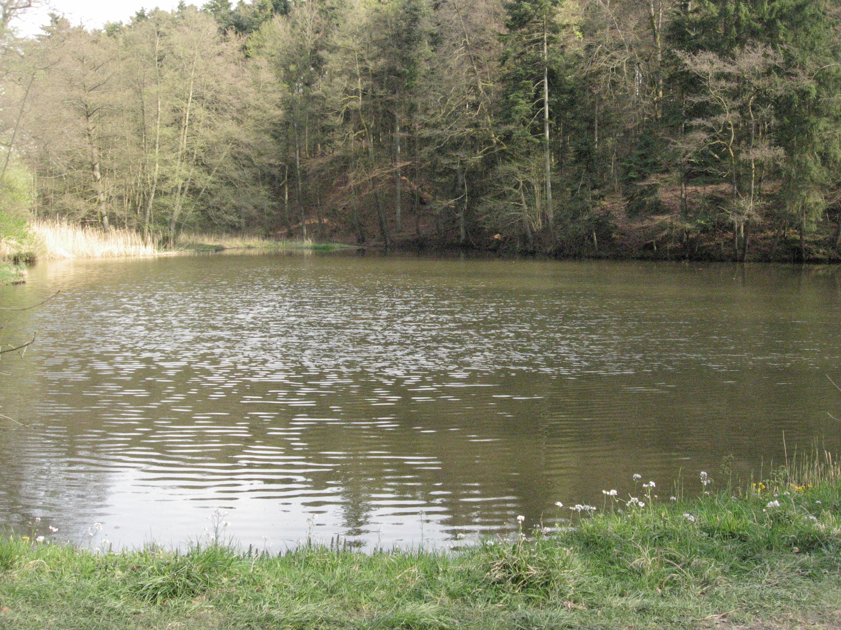 Burgstall bei den Schenkenseen