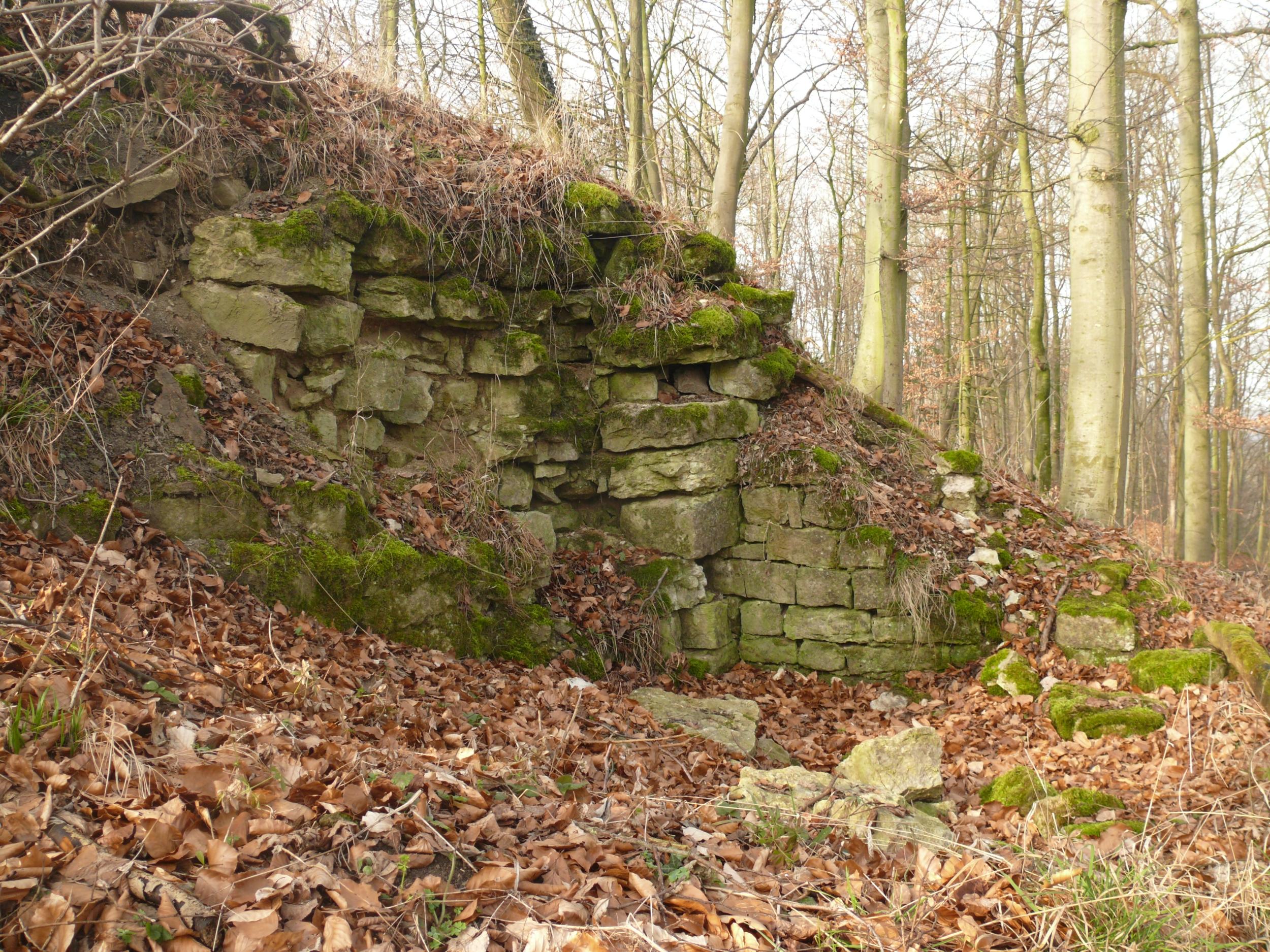 Schlossruine Bielriet