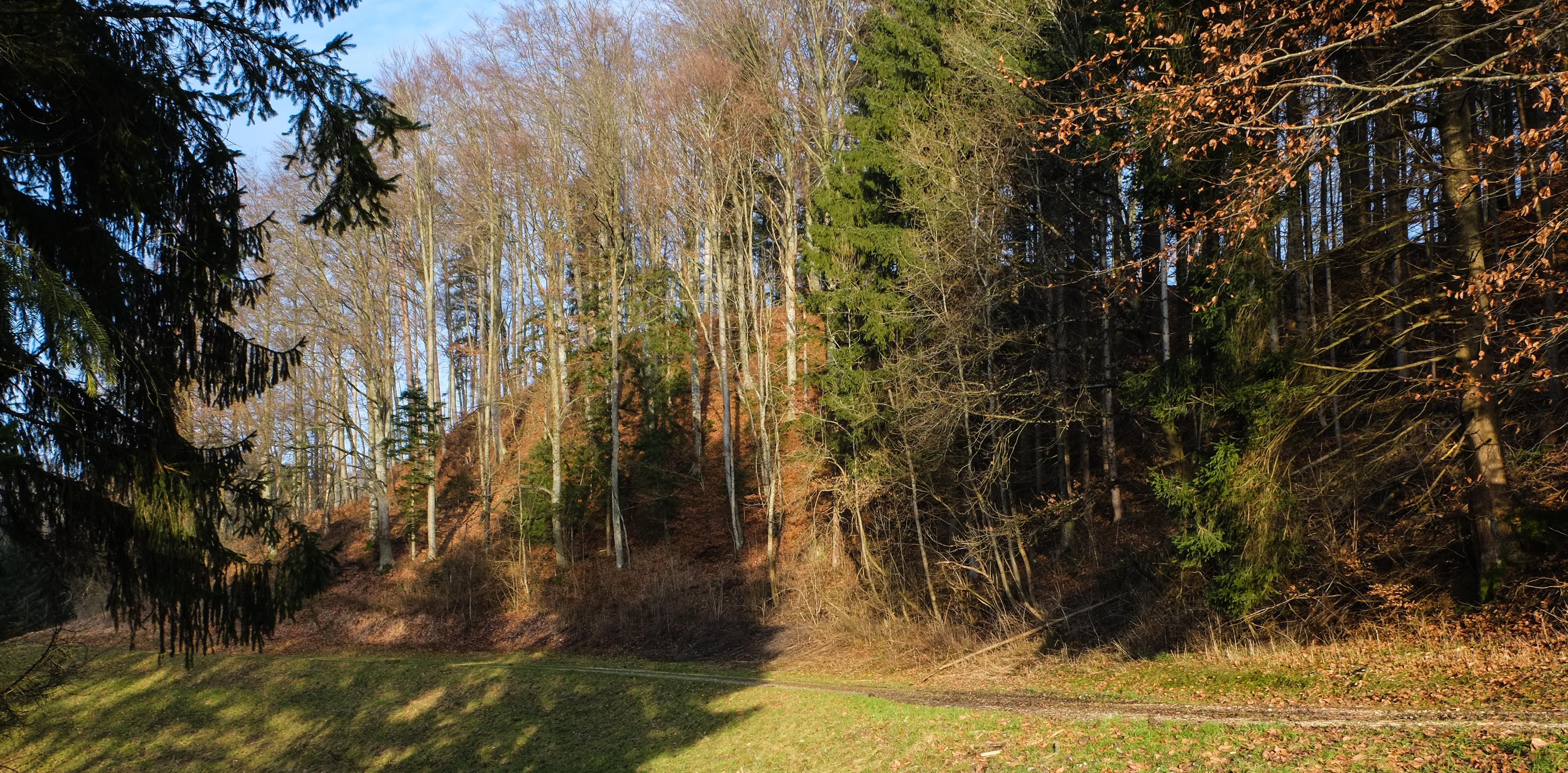 Burgstall Falkenstein