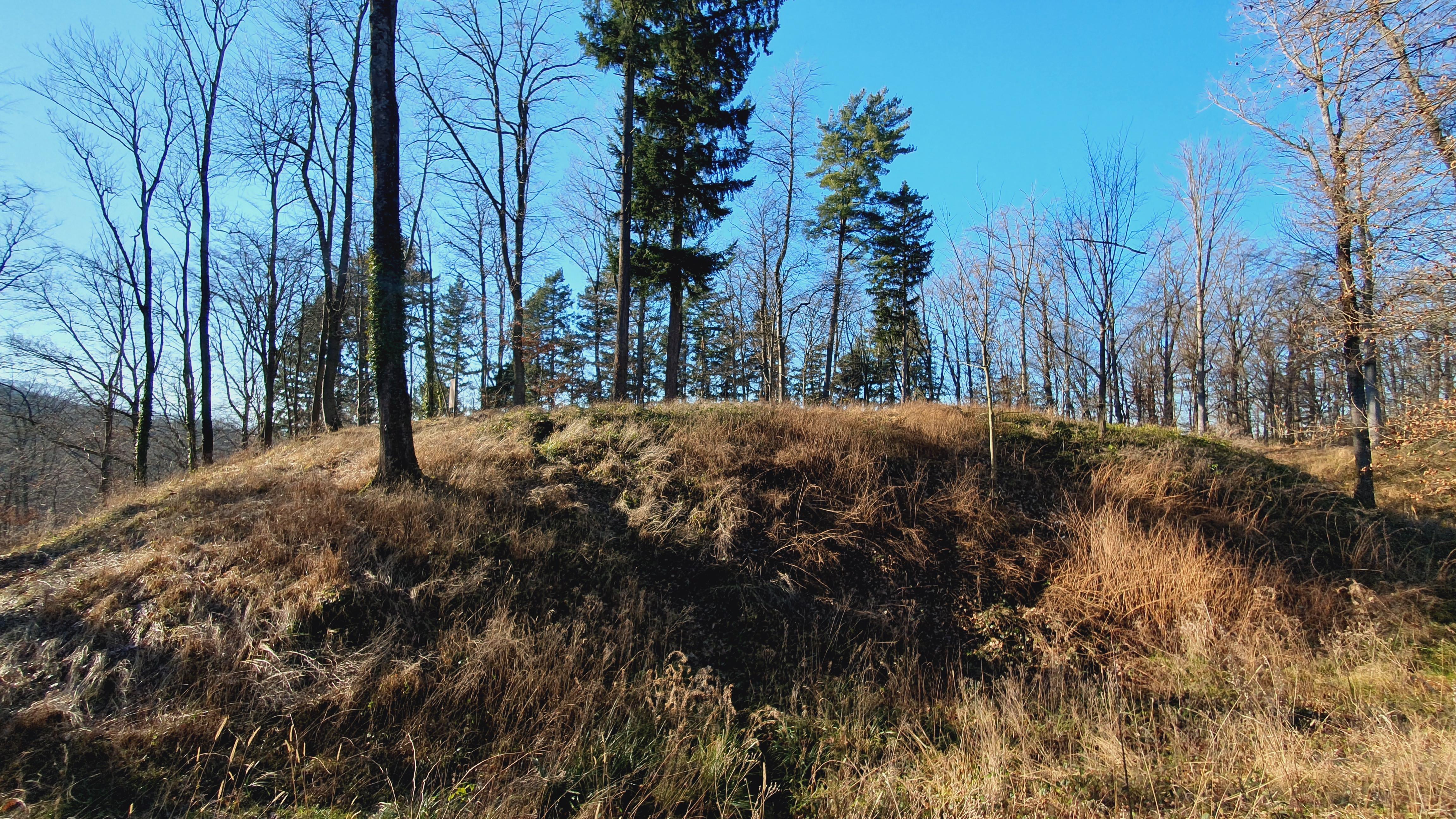 ehem. Burg Zillenhart