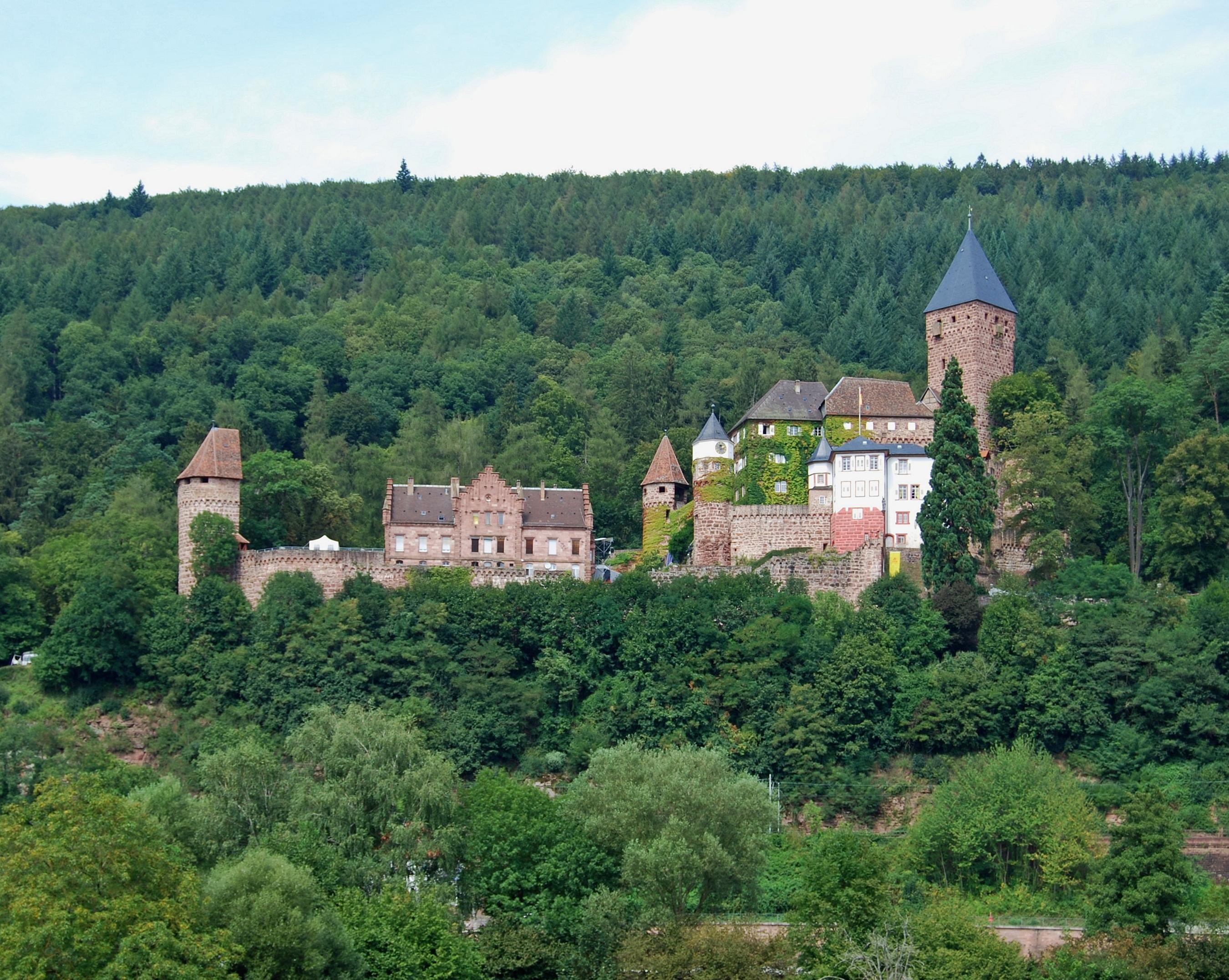 Schloss Zwingenberg