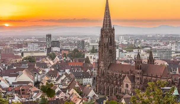 Freiburger Münster