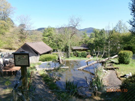 Schwarzwaldzoo Waldkirch