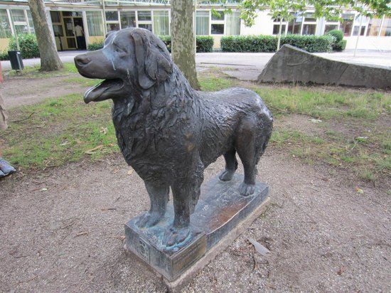eine Leonberger Hundestatue