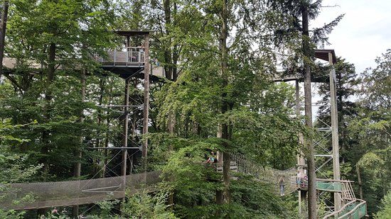 Baumkronenweg Waldkirch