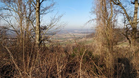 Burgruine Nellenburg