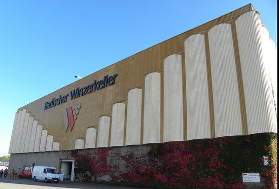 Badischer Winzerkeller eG
