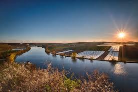 Krappenfelsen und Weinberg am Neckar