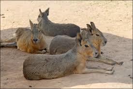 Rauch-Museum Freudenberg