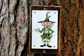 Naturerlebnispfad Hinterzarten - Evernius Flechtel