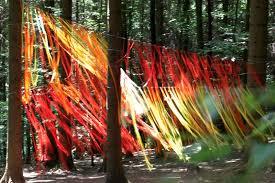 Erfahrungsfeld der Sinne Eins+Alles