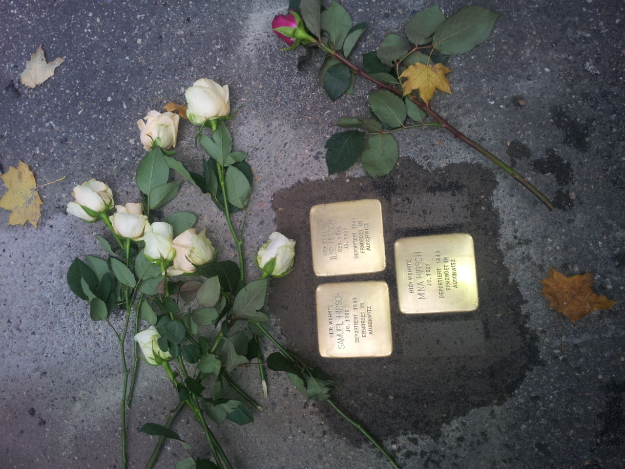 Stolperstein für Samuel Hirsch