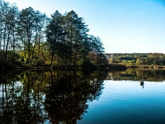 Naturfreibad Zellersee