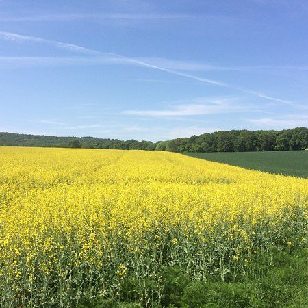 Naturparkzentrum Stromberg-Heuchelberg