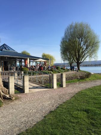 Seegarten Allensbach