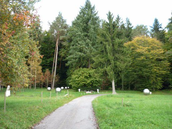 Zerrissene Perlenkette