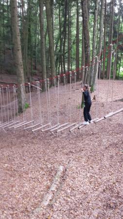 Erfahrungsfeld der Sinne Eins+Alles